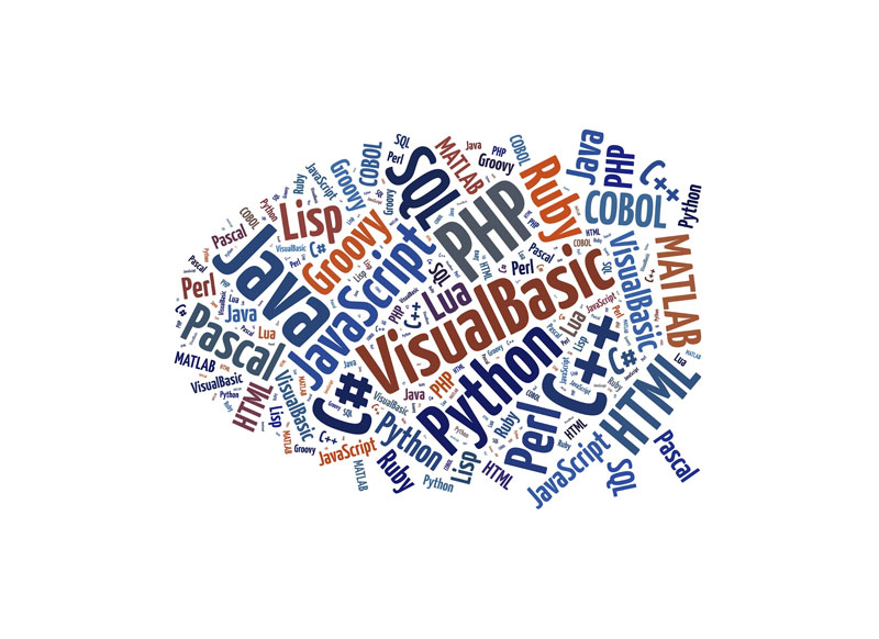 Top WordPress Programming Languages