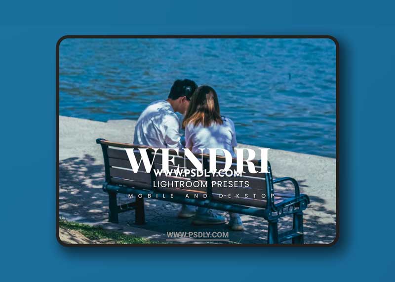Wendri Lightroom Presets Dekstop and Mobile