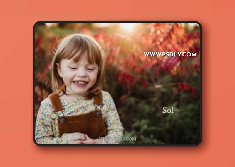 Twig & Olive Photography - Lightroom and ACR Presets| LUX Film