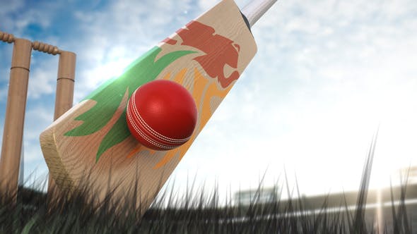 Videohive Cricket Logo 20466580