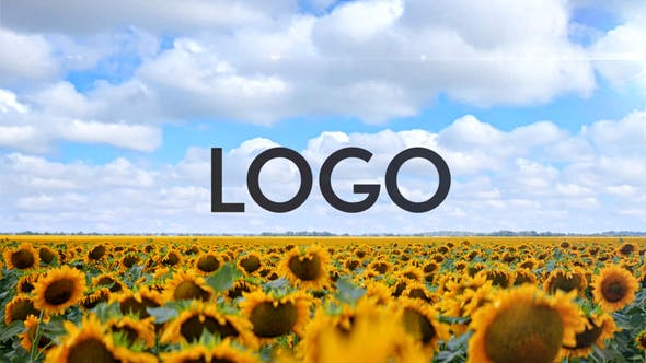 Videohive - Sunflower Opener DR - 33365525