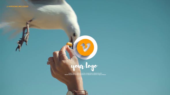 Videohive 3d Elegant Logo Reveal 32563205