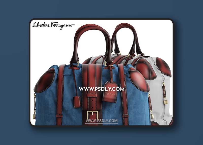 Bags salvatore ferragamo Bag 3D Model