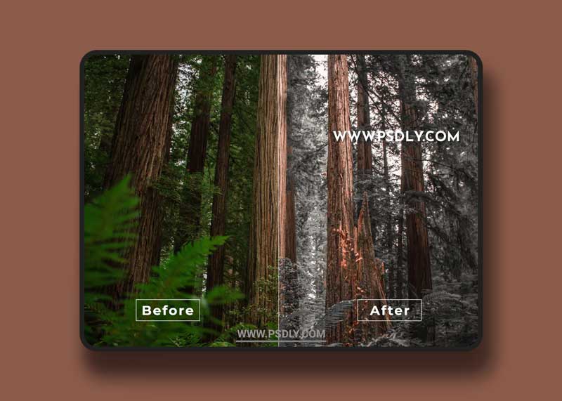 Bangset Cinema Pack 21 Video LUTs