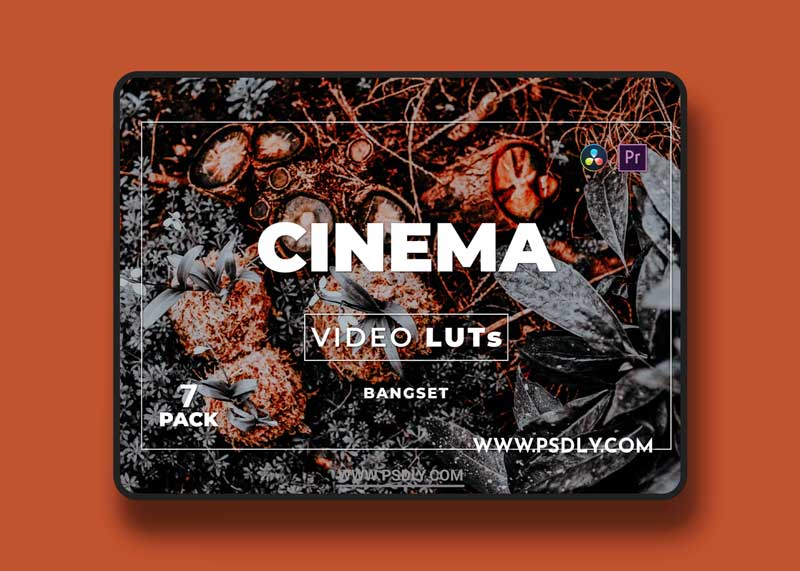 Bangset Cinema Pack 7 Video LUTs