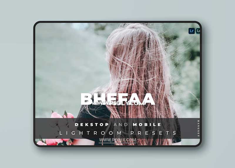 BheFaa Desktop and Mobile Lightroom Preset
