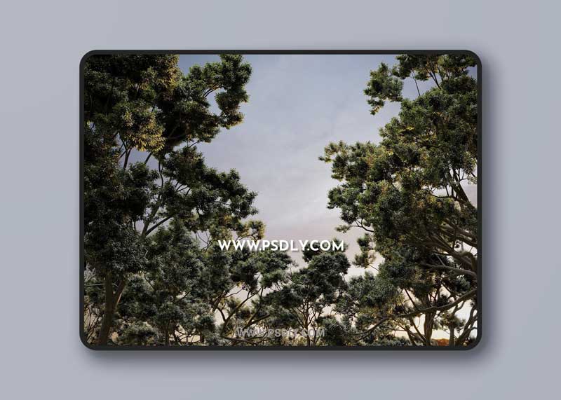 CG Helios – Helios Vegetation vol.2