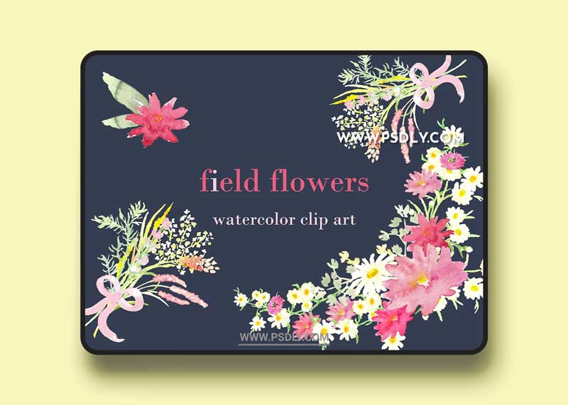 CM - Field Flowers watercolor clip art 252985