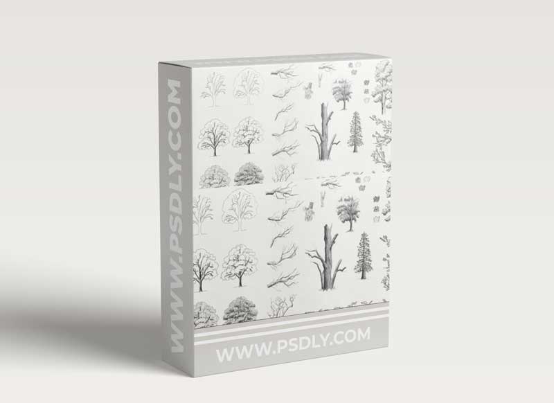 Complete Trees Drawing Course