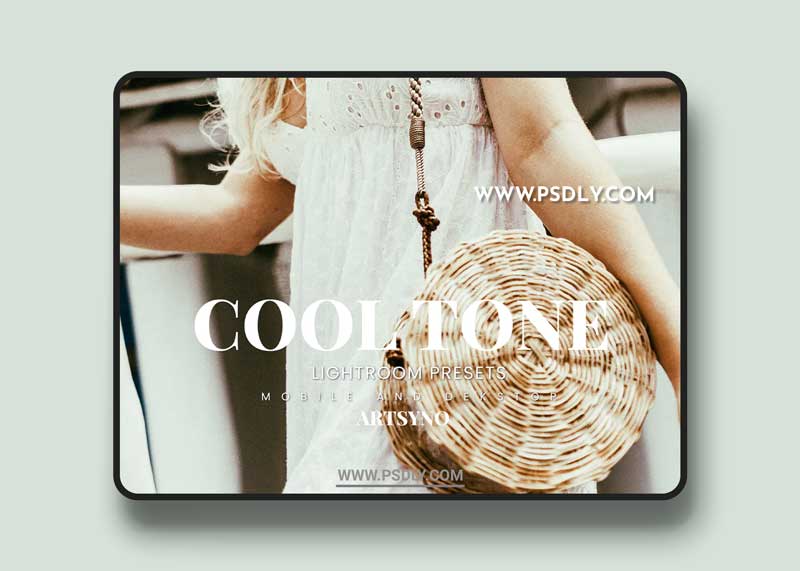 Cool Tone Lightroom Presets Dekstop and Mobile 89C3YHS