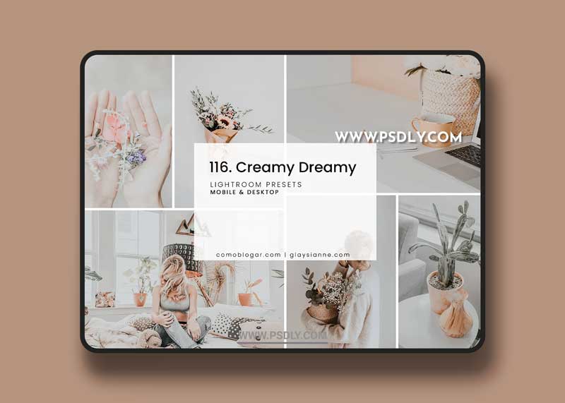 CreativeMarket - 116. Creamy Dreamy 6271754