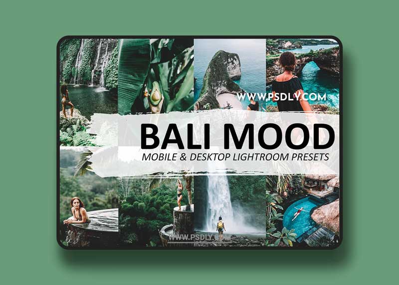 CreativeMarket - Bali Mood Lightroom Preset 5570074