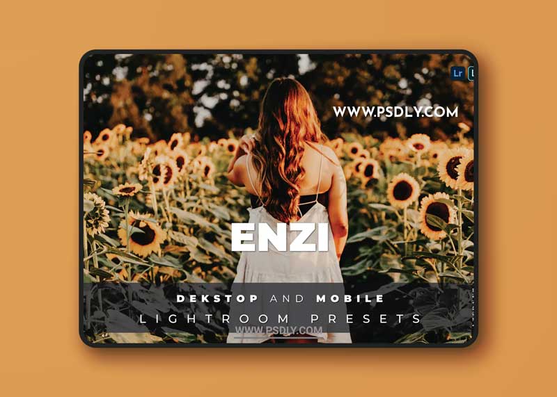 Enzi Desktop and Mobile Lightroom Preset