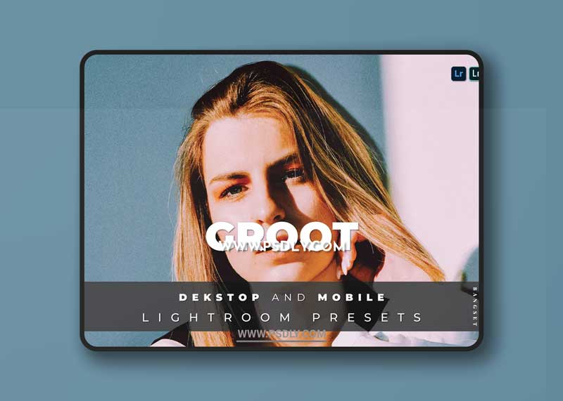 Groot Desktop and Mobile Lightroom Preset