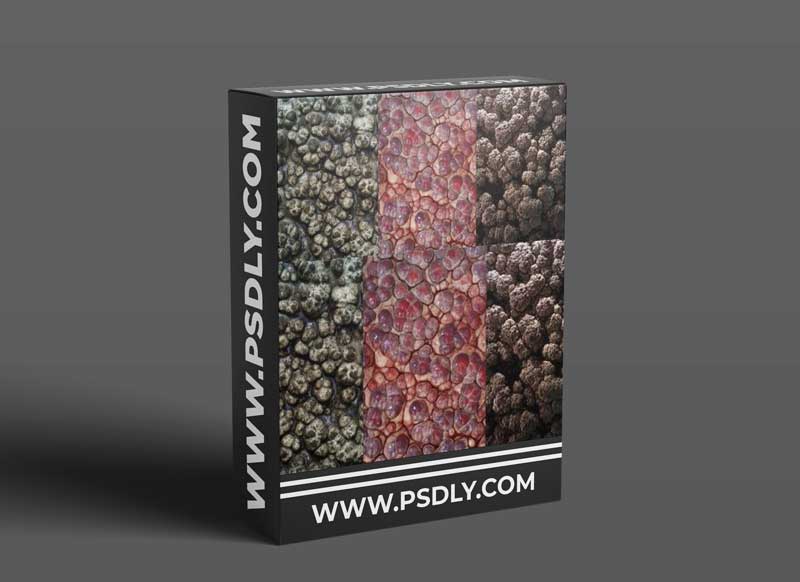 Gumroad – LevelUp Digital Intro to Plugin Creation in Substance Designer