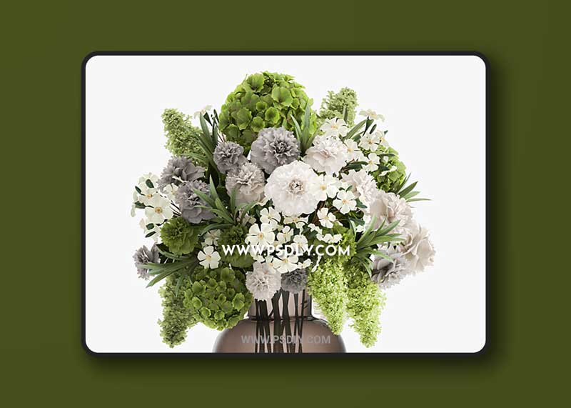 Hydrangea flowers 3D Model