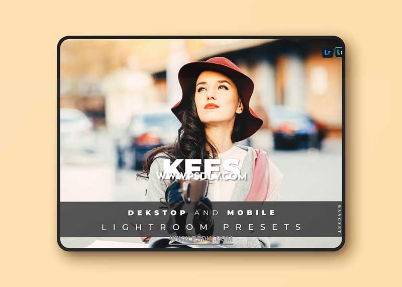 Kees Desktop and Mobile Lightroom Preset