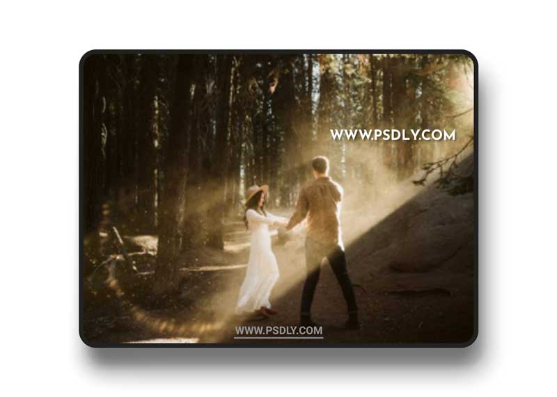 Meridian - LLFx - Meg Loeks - Lens Flare V1