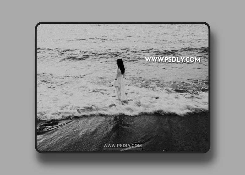 Meridian - Slate & Ivory Presets