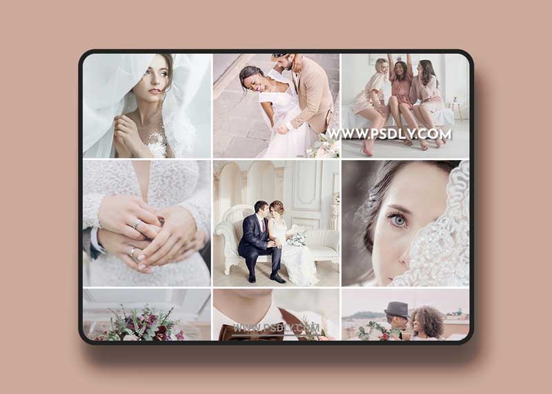 Phlearn Pro - Soft Wedding LUTs for Photo & Video