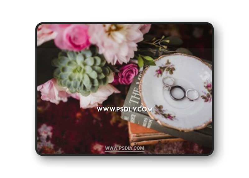 Twig & Olive Photography - Be Bold Presets