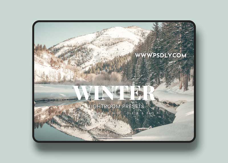 Winter Lightroom Presets Dekstop and Mobile