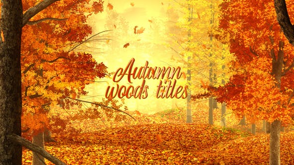 Videohive Autumn Woods Titles 33925235