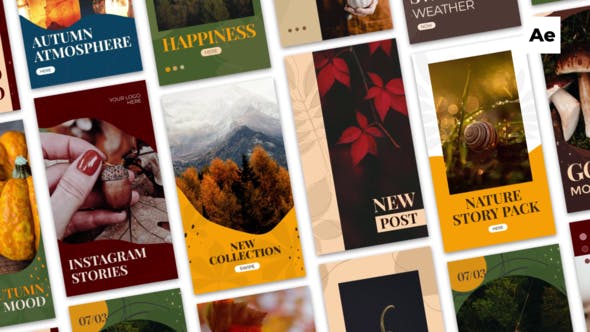 Videohive Autumn Instagram Stories 33899657