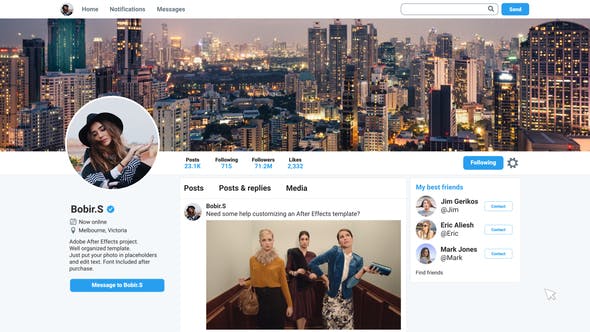 Videohive Twitter Profile Promo 23334144