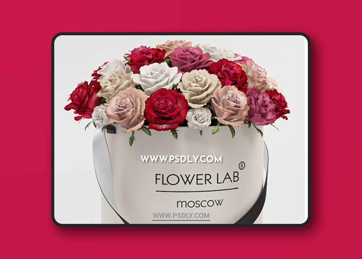 A bouquet of roses in a gift box 3D Models