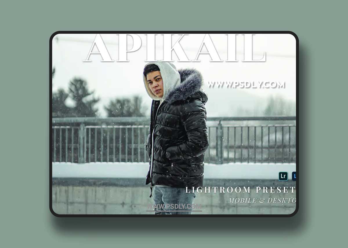 Apikail Mobile and Desktop Lightroom Presets