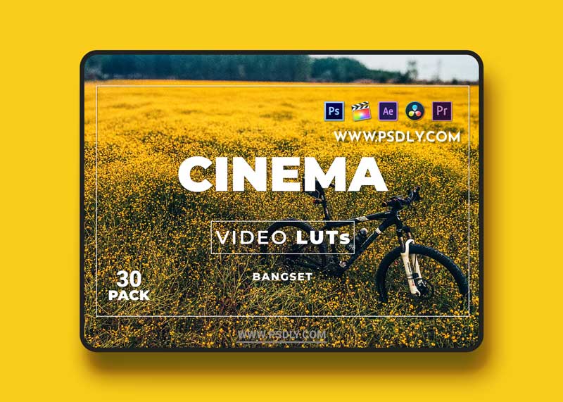 Bangset Cinema Pack 30 Video LUTs