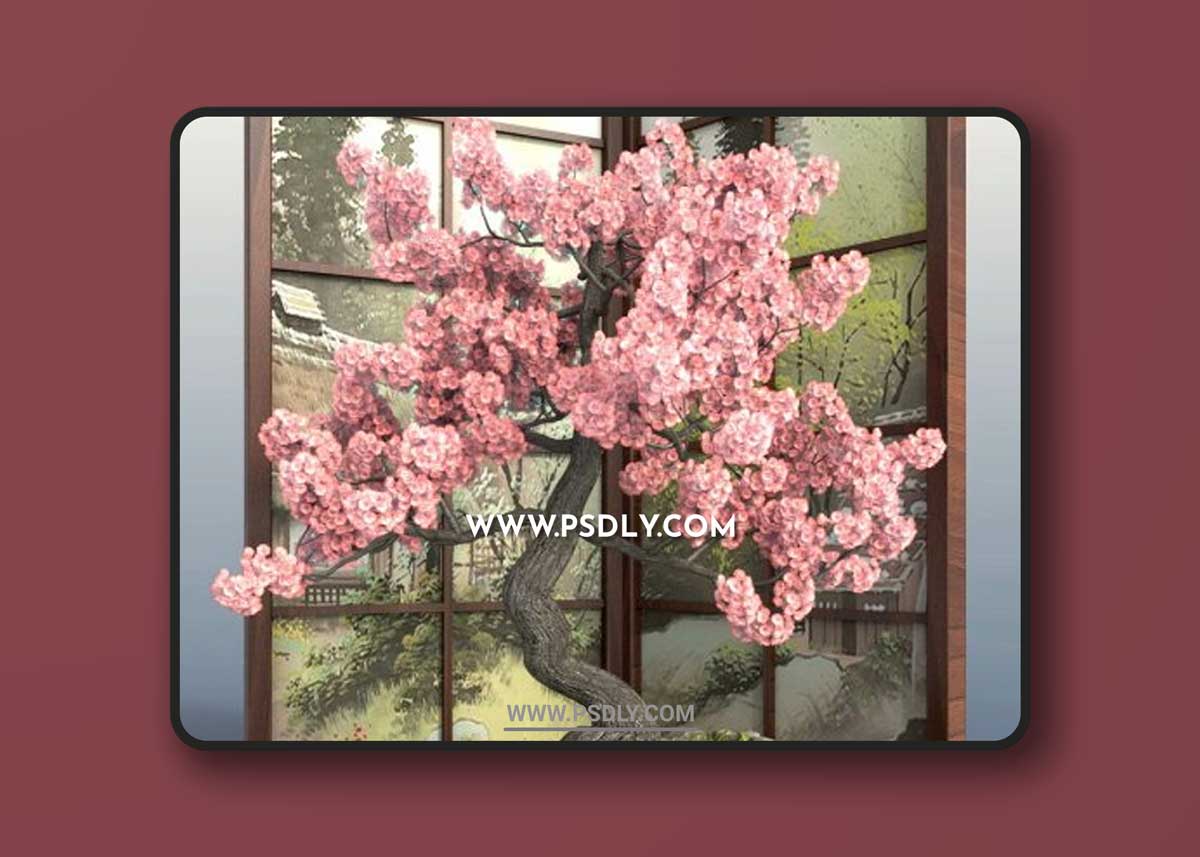 Bonsai 1 - Sakura 3D Models