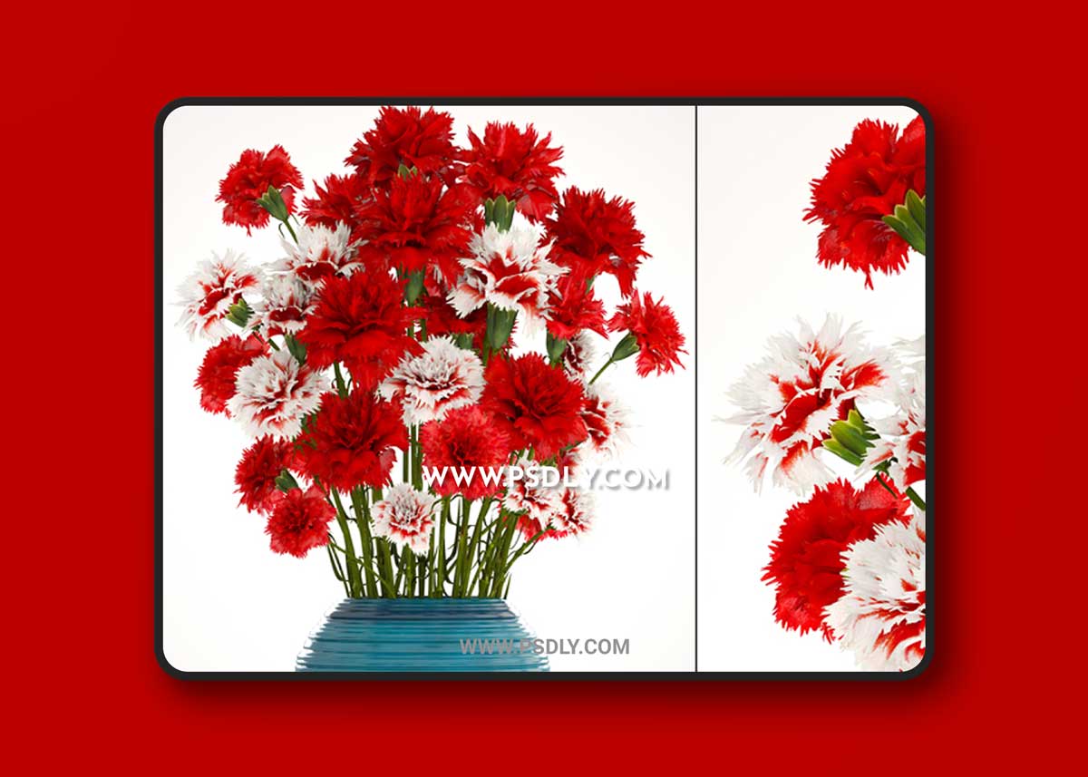 Collection of flowers 13. Carnation