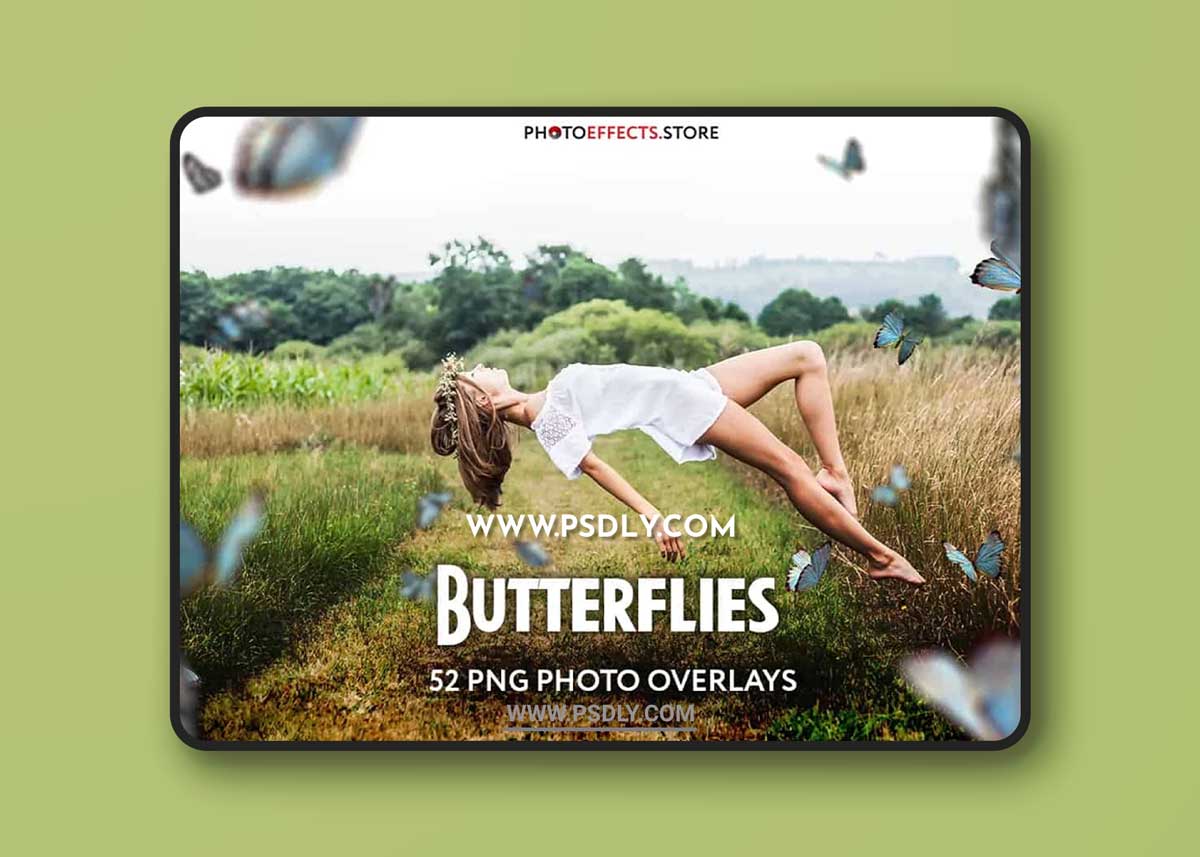 CreativeMarket - 52+ Butterflies Photo Overlays 6414950