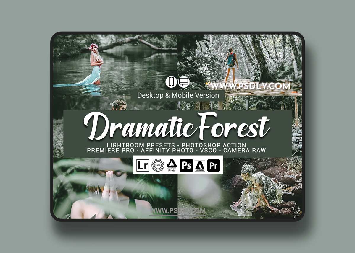 CreativeMarket - Dramatic Forest Presets 5689538