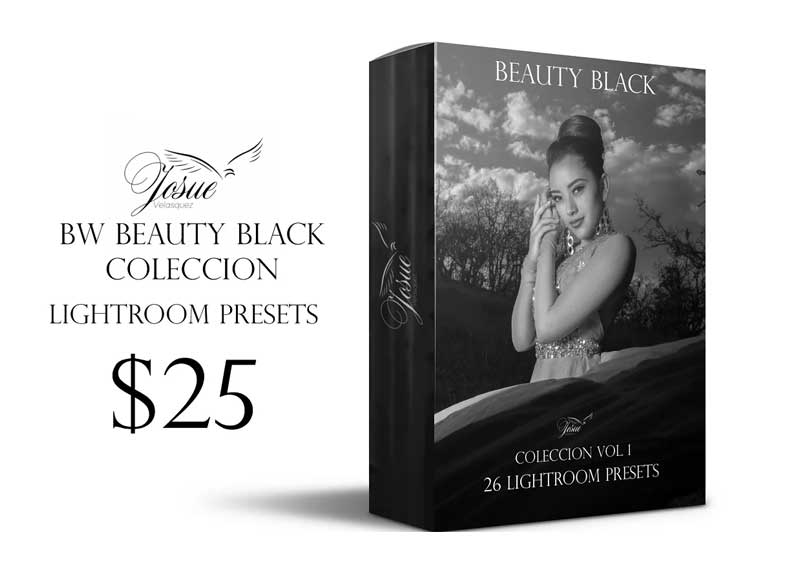 Creativemarket - BEAUTY BLACK - LIGHTROOM PRESETS 1756910