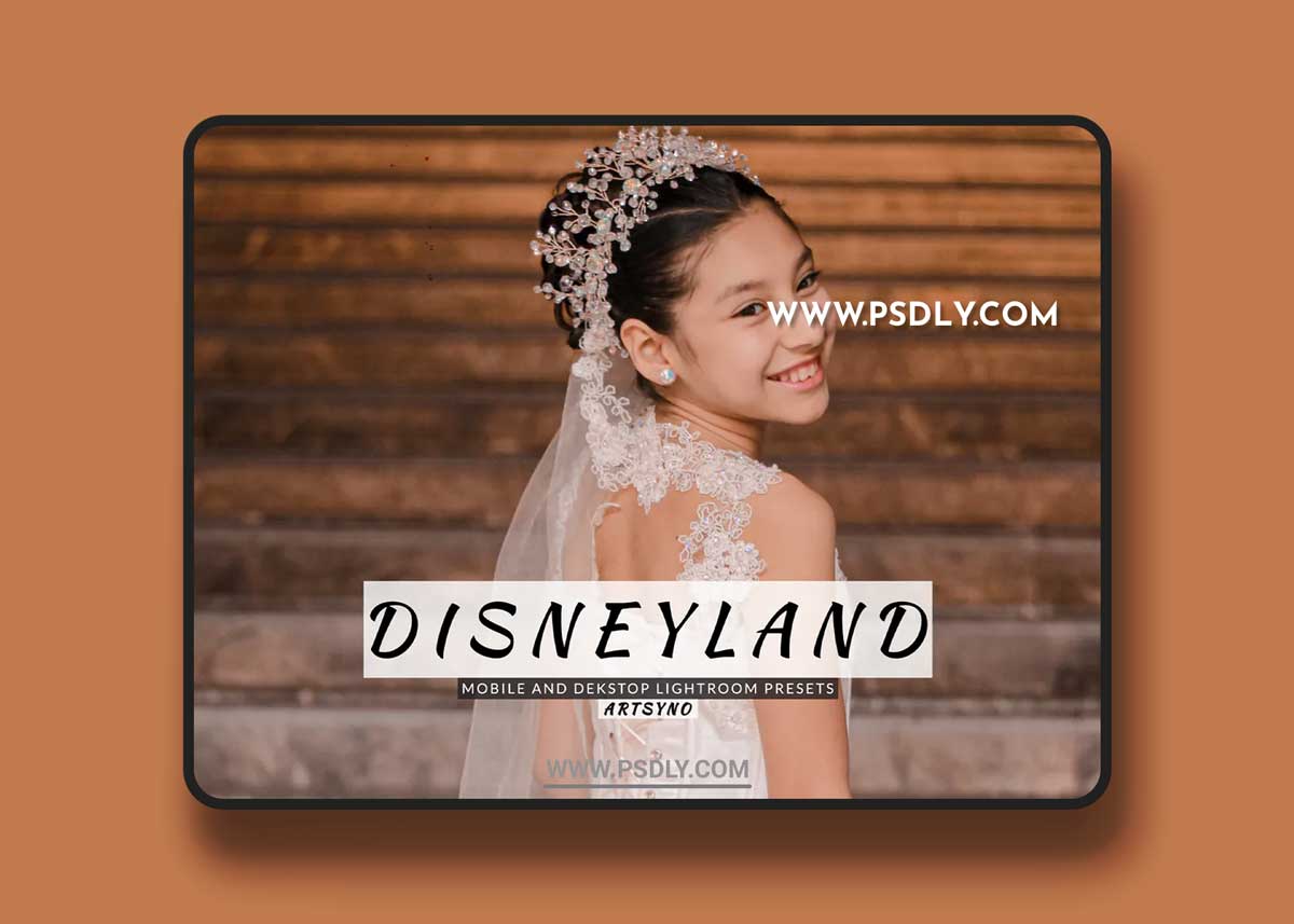 Disneyland Lightroom Presets Dekstop and Mobile
