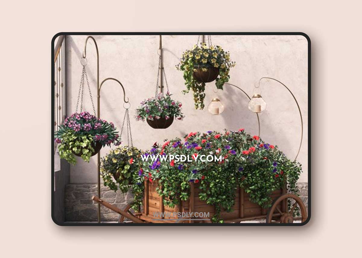 Flower time 3D Models