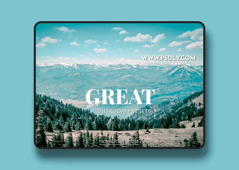 Great Lightroom Presets Dekstop and Mobile