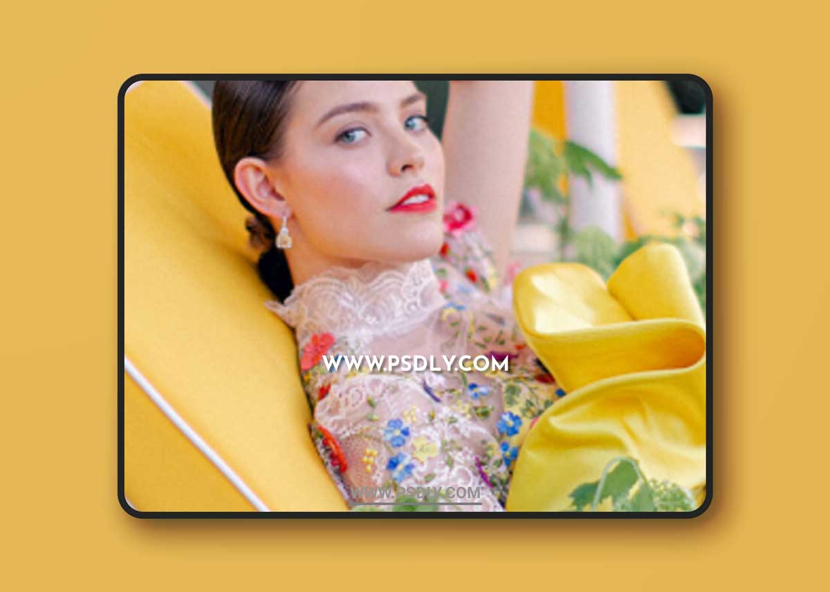 Kindred - The Storey Collection - True Colors