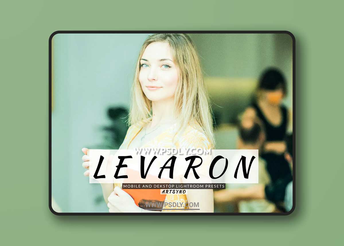 Levaron Lightroom Presets Dekstop and Mobile