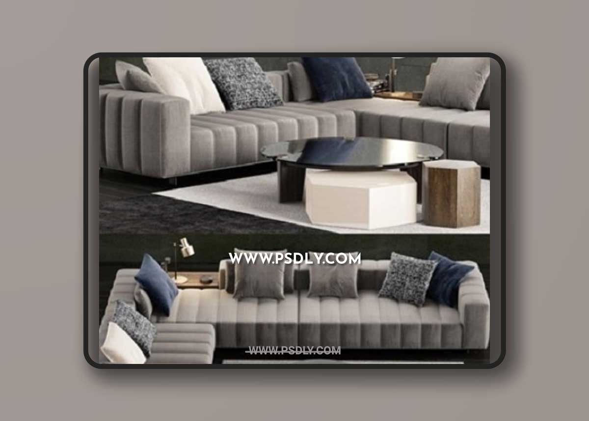 Minotti Freeman Tailor Sofa 2