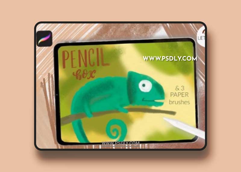 Procreate pencil case for iPad