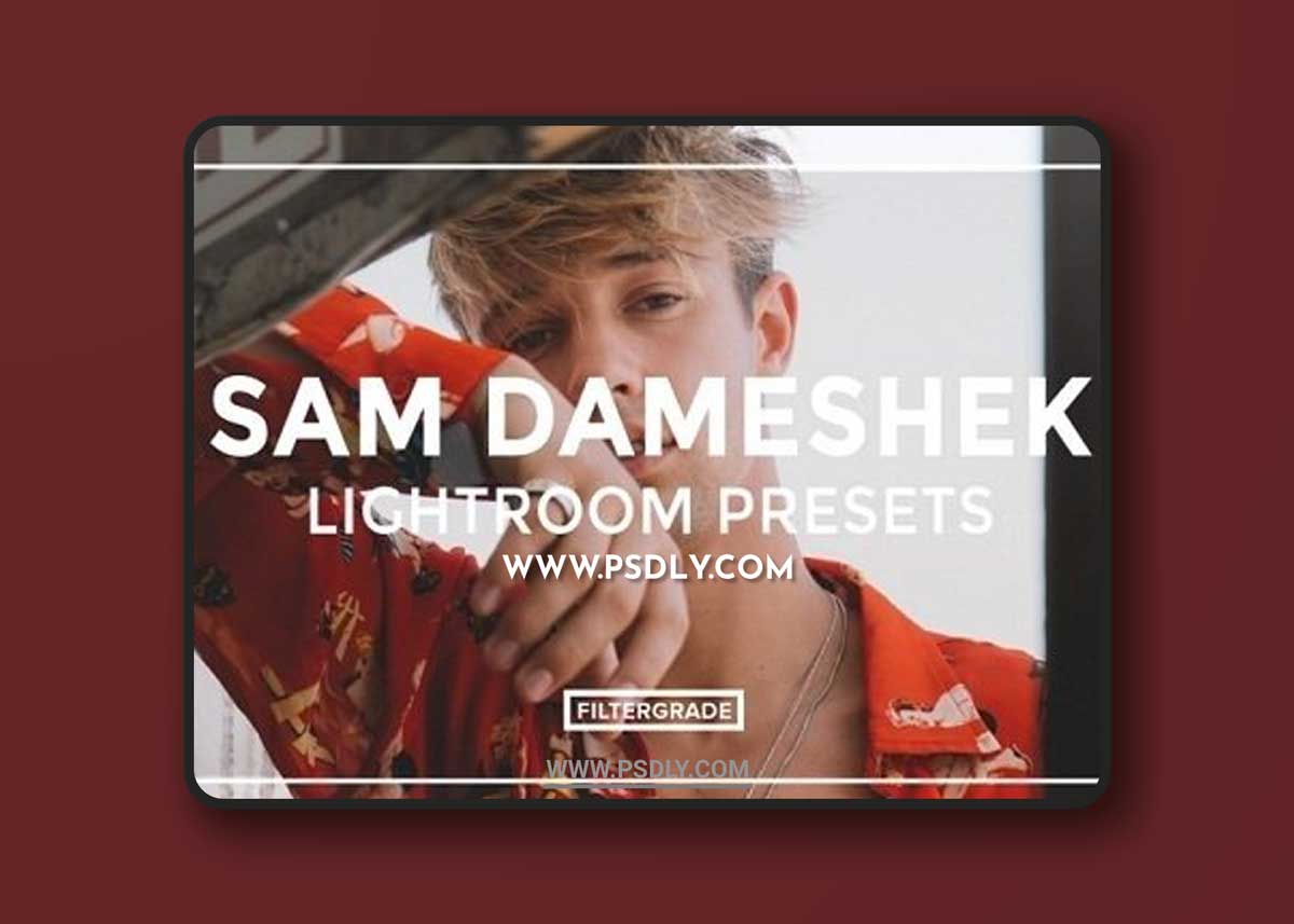 Sam Dameshek Lightroom Presets6 Lightroom Presets