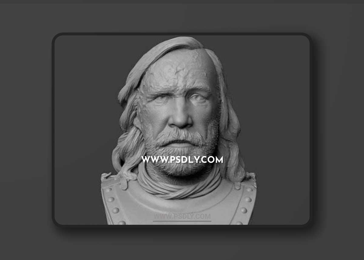 Sandor Clegane (The Hound) Bust 3D Models