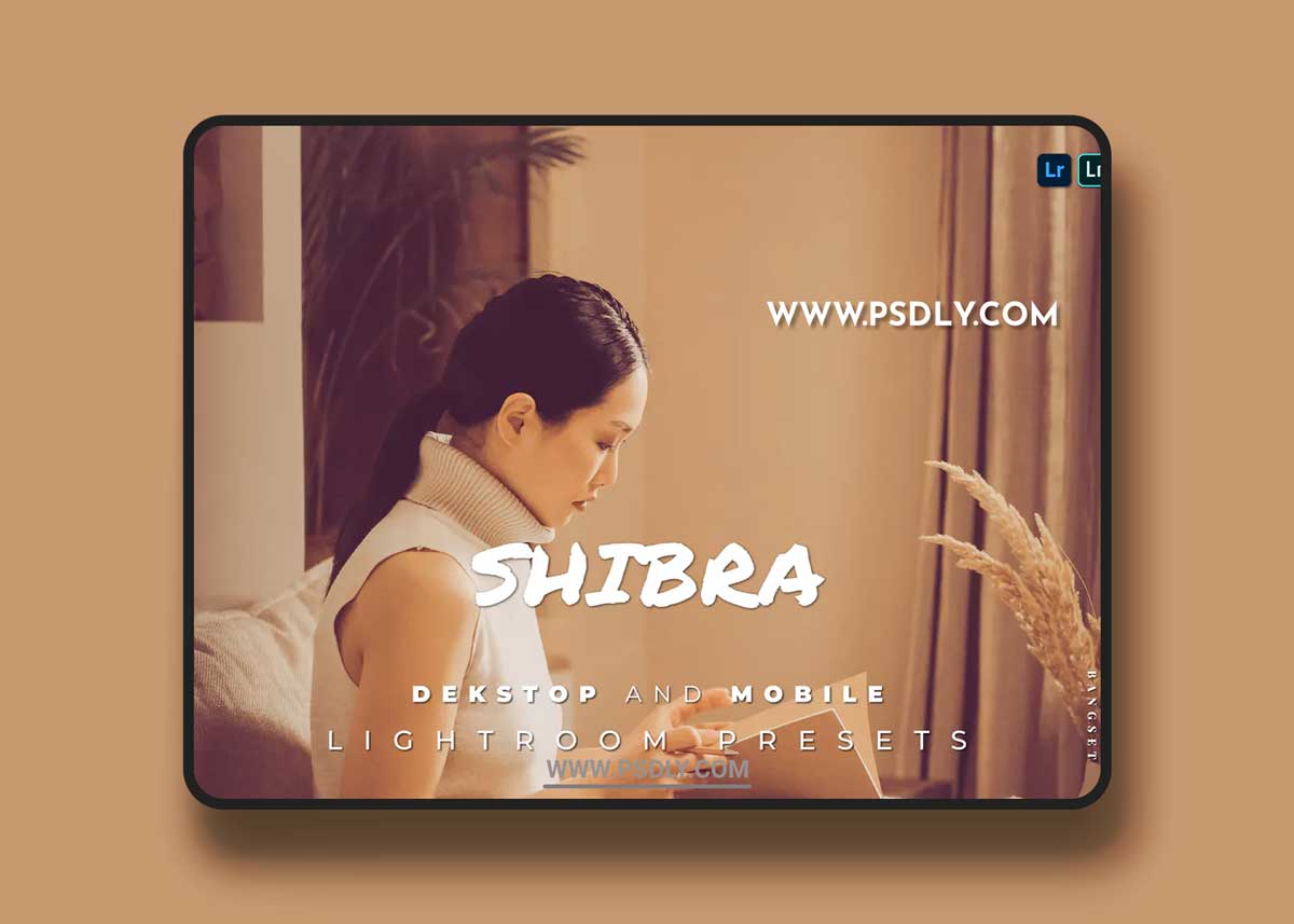 Shibra Desktop and Mobile Lightroom Preset