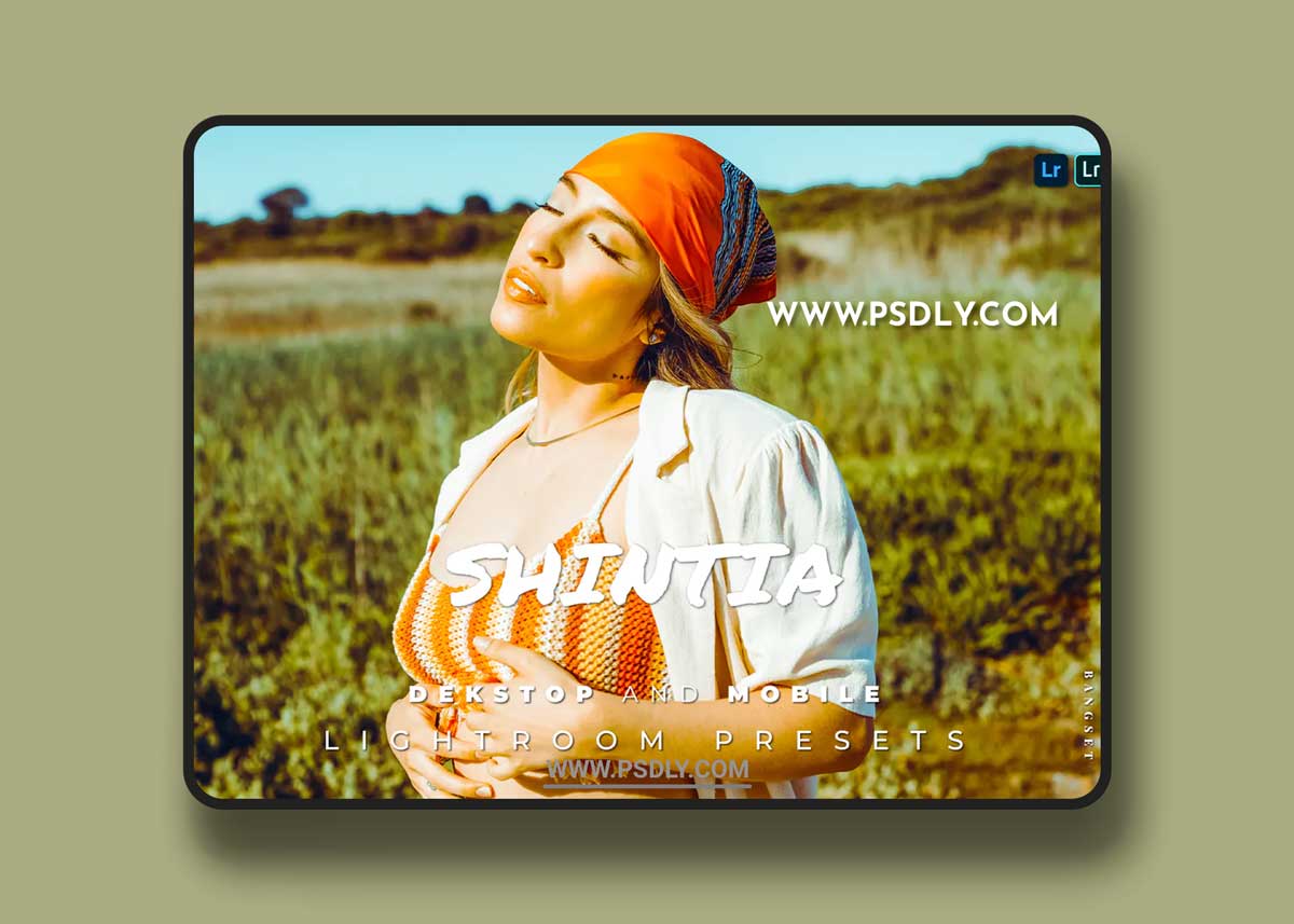 Shintia Desktop and Mobile Lightroom Preset