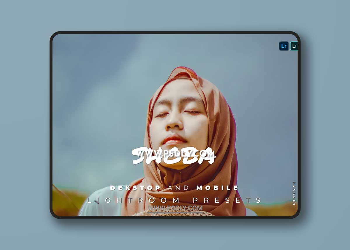 Shoba Desktop and Mobile Lightroom Preset