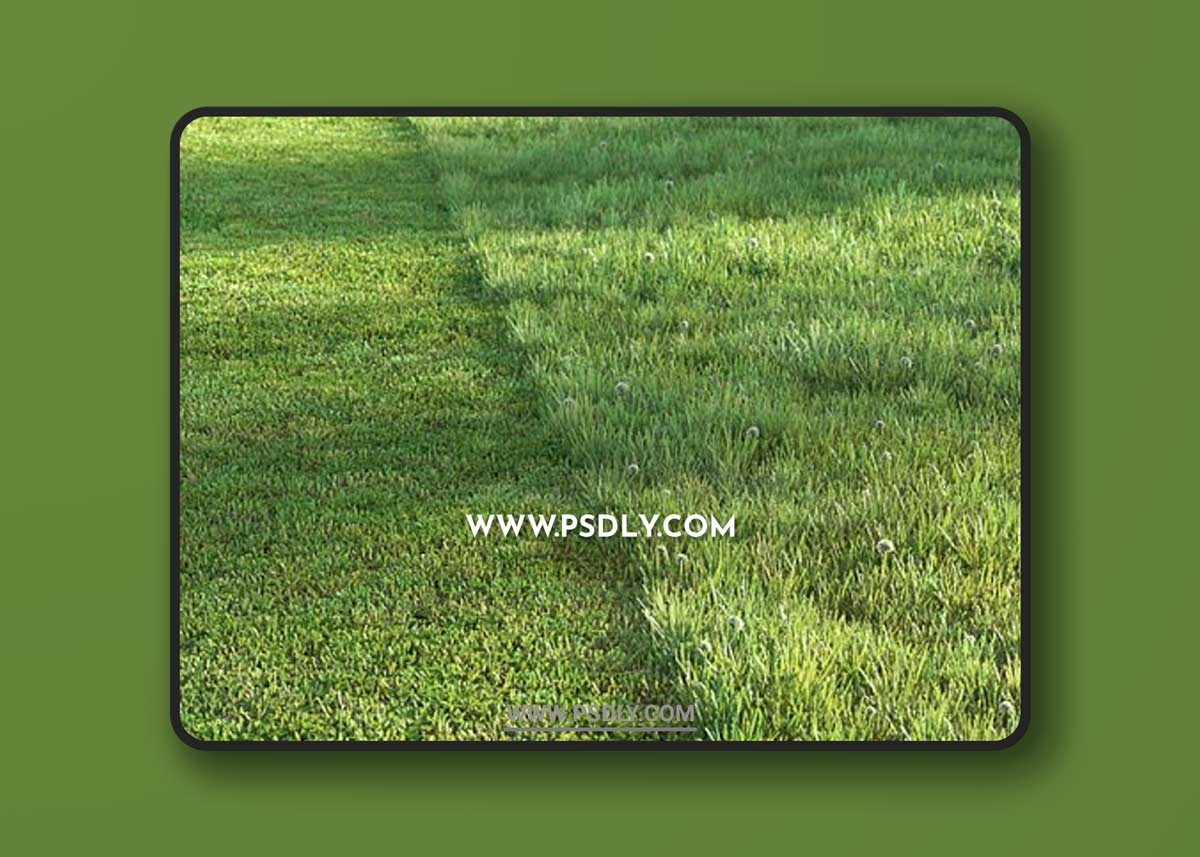 Sports turf 3D Models